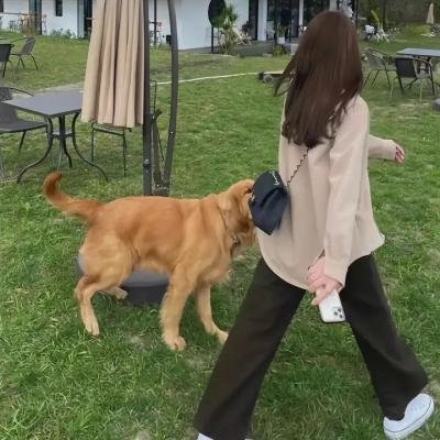 摩铁小胖的烦恼
